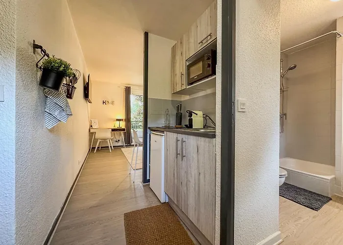 Le Davin - Parc Paul Mistral - Stade Des Alpes Apartment *